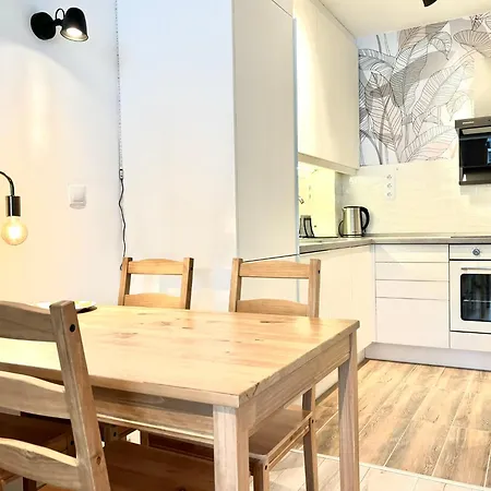 Apartment Scandinavian-style Downtown With A Terrace Budapest
