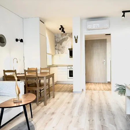 Scandinavian-style Downtown With A Terrace *