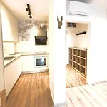 Scandinavian-style Downtown With A Terrace Daire