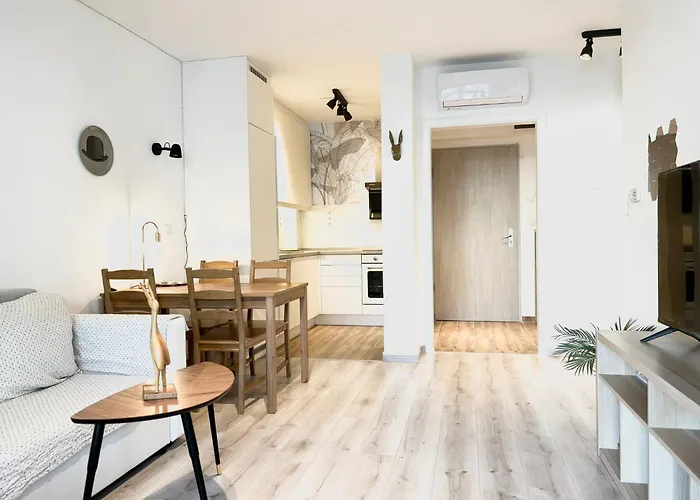 Scandinavian-style Downtown With A Terrace *